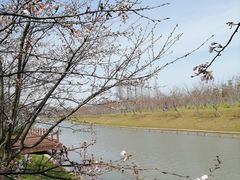 -上海海湾国家森林公园