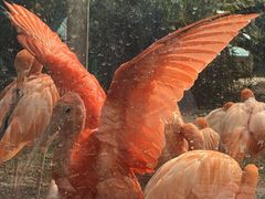 -石家庄市动物园