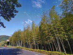 -明月山天沐温泉度假村