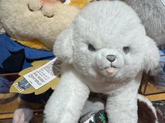 -九木杂物社(江宁金鹰广场店)