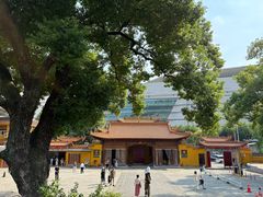 -宝通禅寺