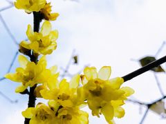 -菊花台公园