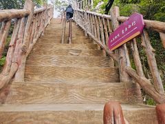 -塔云山