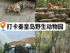 -秦皇岛野生动物园