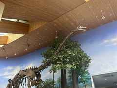 -延庆地质公园博物馆