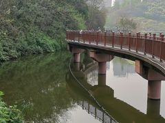 -重庆彩云湖湿地公园