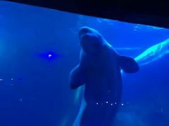-皇家极地海洋世界售票处