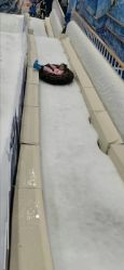 -Mr·Kuma酷么先生雪之乐园