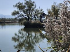 -野鸭湖国家湿地公园