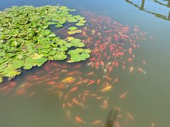 -前关湿地公园
