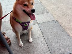 -小意思咖啡店(草桥店)