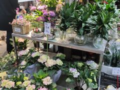 -桂林市花鸟市场