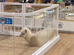 -万达茂商场(南京仙林店)
