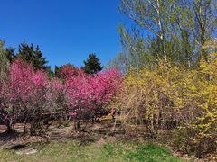 -长春公园(普阳街道)