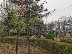 -老磨油饼(高陵店)