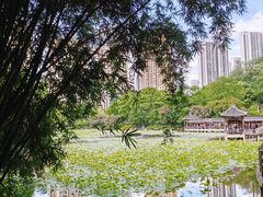 -龙头寺公园