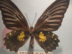 -吉林省自然博物馆