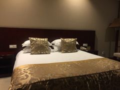 -春兰国宾馆(凤城河风景区老街店)