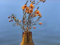 -六阅·福十 FORTEN 海景咖啡西餐厅(双廊古镇店)