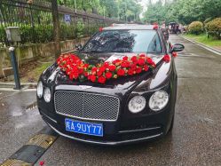 -蚂蚁婚车