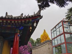 -西安市广仁寺