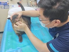 -芭比堂动物医院·CT·微创中心(新顺分院)