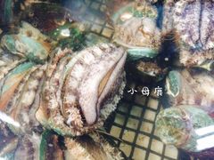 -青石桥市场北1-27号