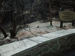 -香山公园