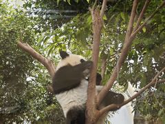 -香港海洋公园