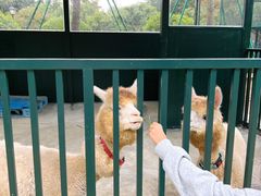 -青岛鑫江温德姆酒店
