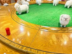 -老毛手抓·盐池滩羊非遗手抓(宁夏总店)