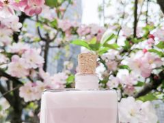 美莓瘦瘦红酒酸奶-Blueglass酸奶(财富购物中心店)