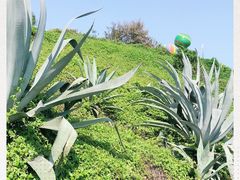-漳州滨海火山岛自然生态风景区