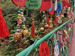 -西双版纳原始森林公园