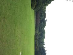 虹桥迎宾馆-上海虹桥迎宾馆