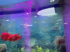 -雅悦齿科(顾村公园店)