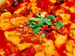 -金掌勺东北菜(格兰晴天店)