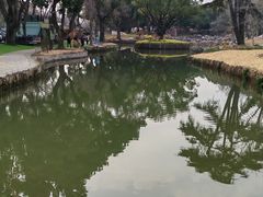 -无锡梅园公园