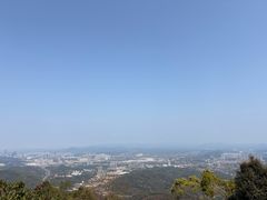 -黄埔油麻山森林公园