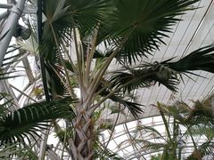 -北京植物园-展览温室