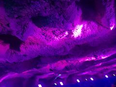 -青岛东方影都融创水世界