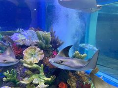 -成都浩海立方海洋公园