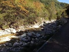 -陕西省红河谷森林公园