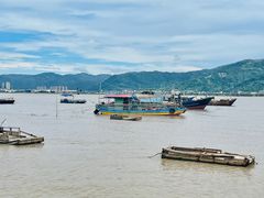 -北岐滩涂