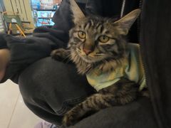 -平行世界·猫咖(首经贸店)