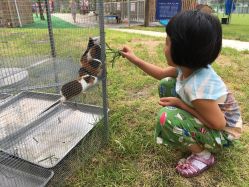 -萌宠亲子动物乐园(槐房万达店)