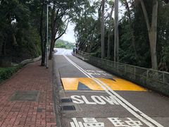 -大埔公路-马料水段香港中文大学(公交站)