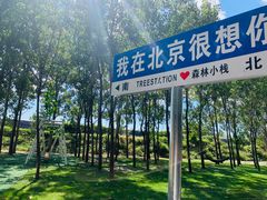 -森林小栈TreeStation露营基地