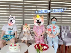 -卓玥国际月子会所(罗山路店)