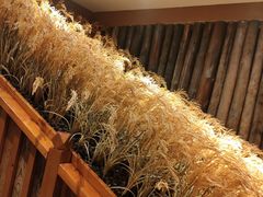 -耕渔小院·湖南鱼鲜(望城店)